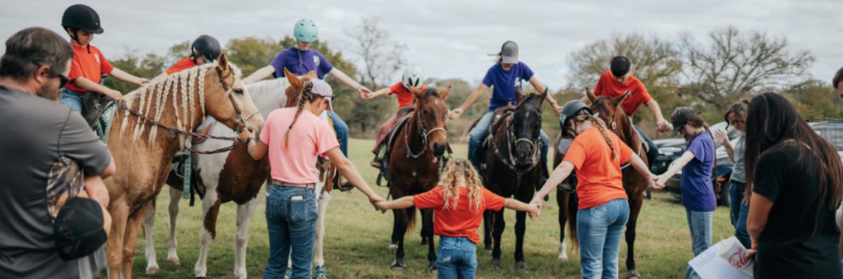 Bar D Performance Horses